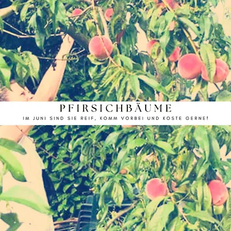 Apartman Labsalerie - Urlauben Am Woerthersee *