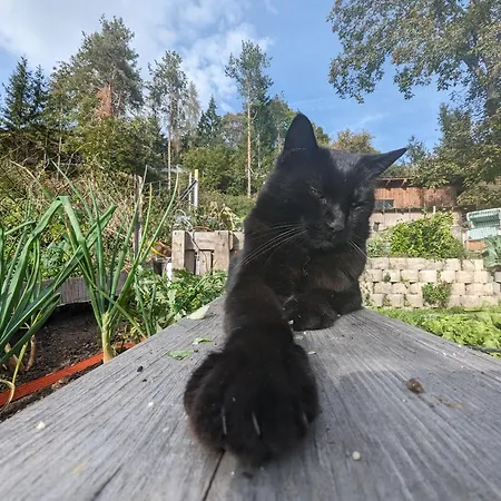 Labsalerie - Urlauben Am Woerthersee Appartamento *