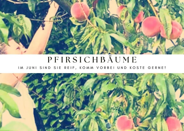 Appartamento Labsalerie - Urlauben Am Woerthersee *