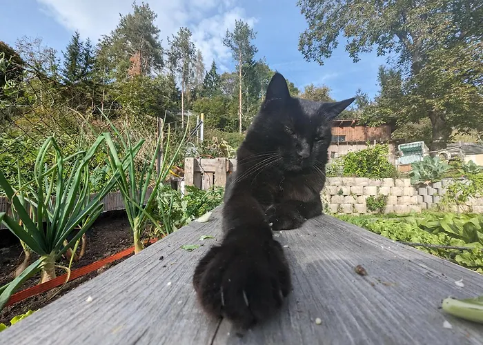 Labsalerie - Urlauben Am Woerthersee Lejlighed *